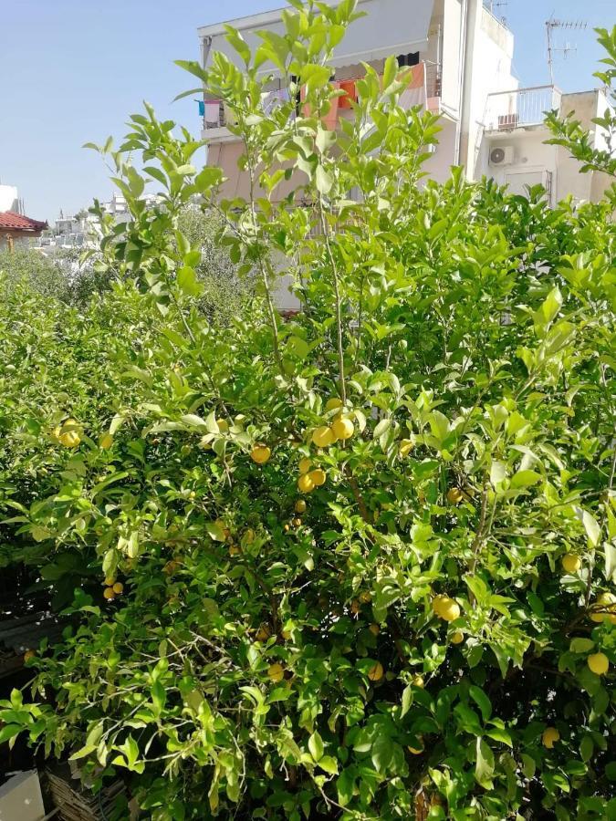 Lemontree Lägenhet Aten Exteriör bild